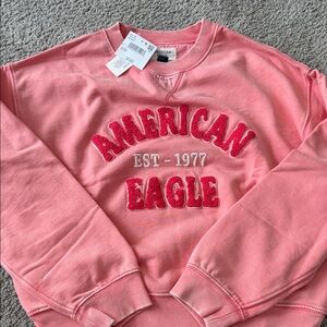 American Eagle Outfitters Coral Crew Neck Sweater
